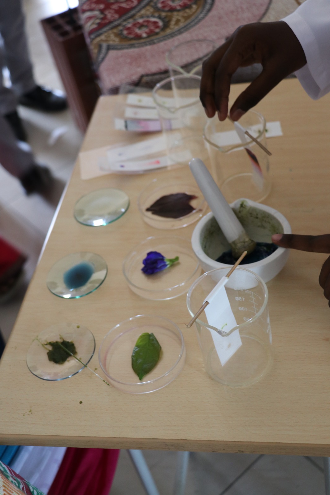 WhatsApp Image 2025-09-27 at 4.10.24 PM (1)