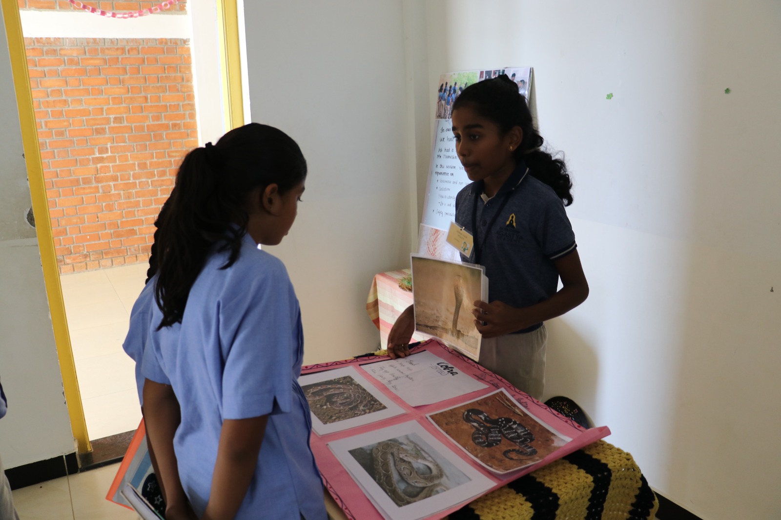 WhatsApp Image 2025-09-27 at 4.10.24 PM (2)