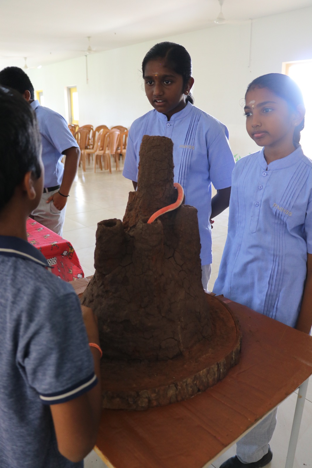 WhatsApp Image 2025-09-27 at 4.10.24 PM (3)