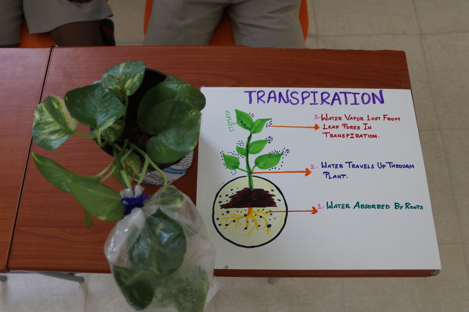 WhatsApp Image 2025-09-27 at 4.10.24 PM (7)