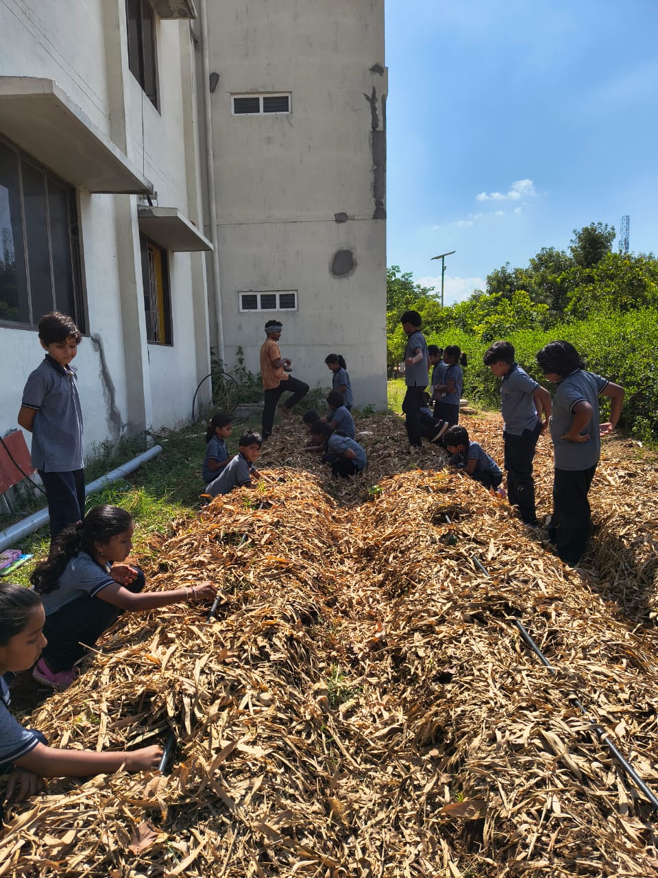 WhatsApp Image 2025-09-27 at 4.22.55 PM (1)