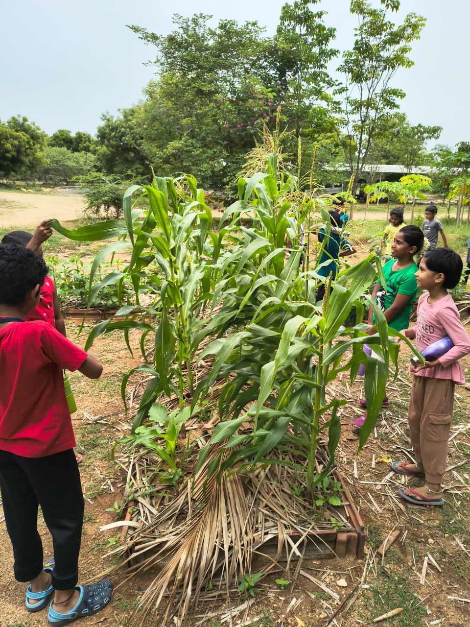 WhatsApp Image 2025-09-27 at 4.22.55 PM