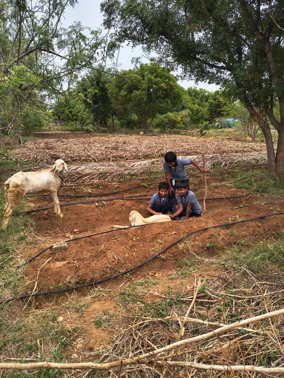 WhatsApp Image 2025-09-27 at 4.22.56 PM (1)