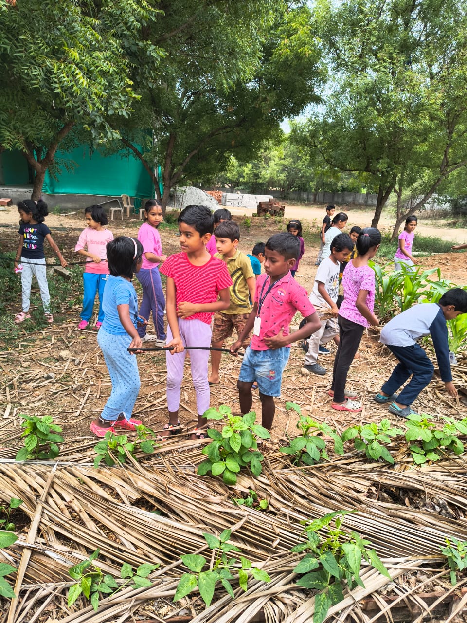 WhatsApp Image 2025-09-27 at 4.22.56 PM (2)