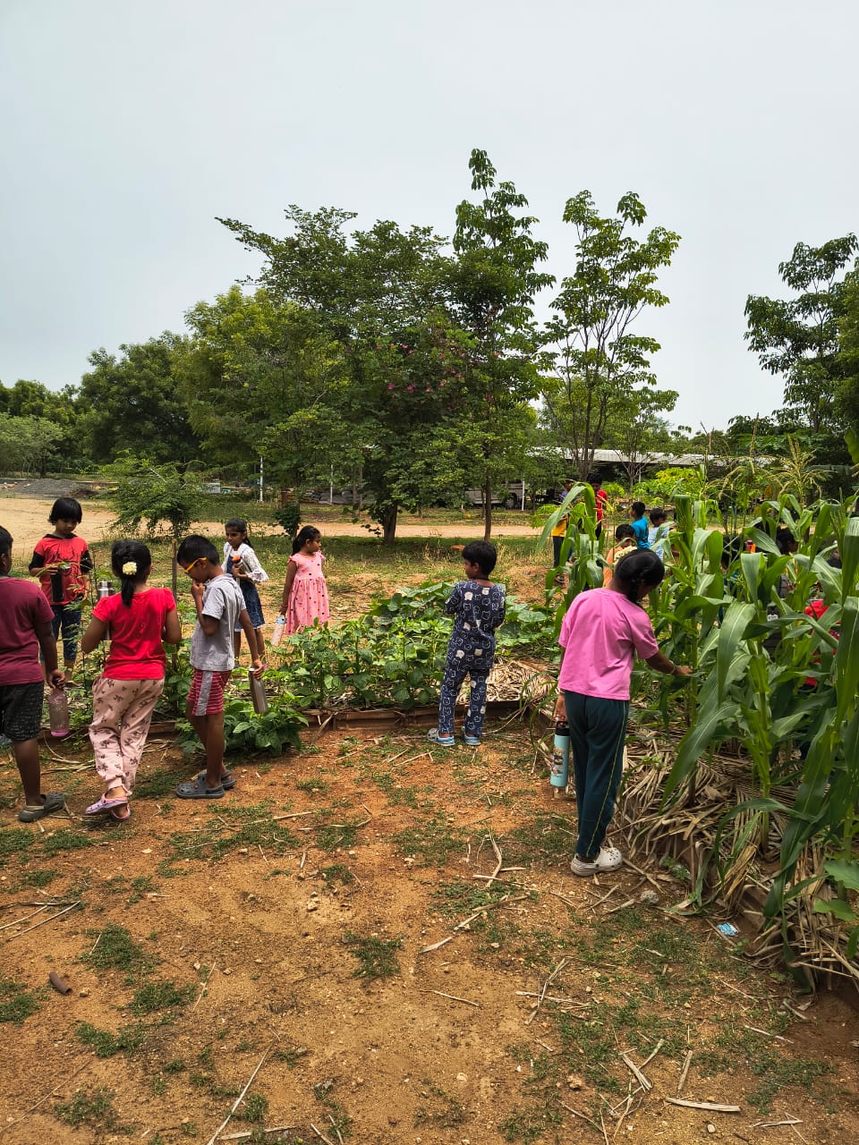 WhatsApp Image 2025-09-27 at 4.22.57 PM (2)