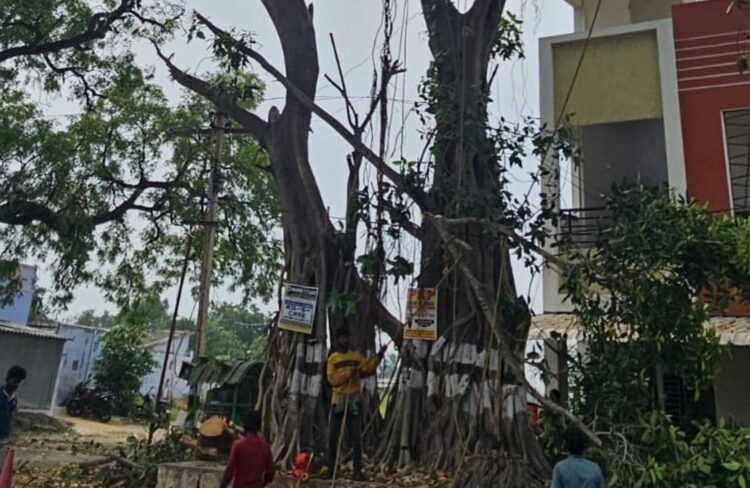 Please Don’t Let Me Die — I Still Have Life to Give