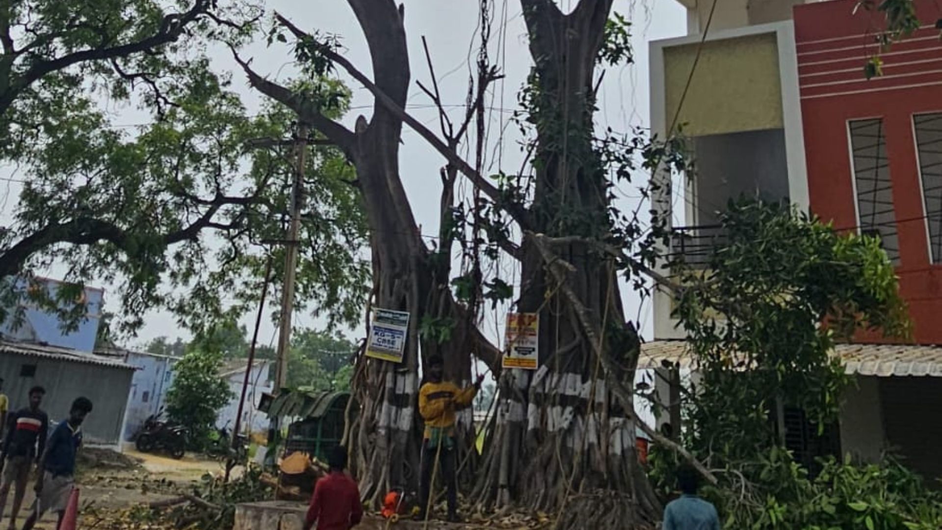 Please Don’t Let Me Die — I Still Have Life to Give