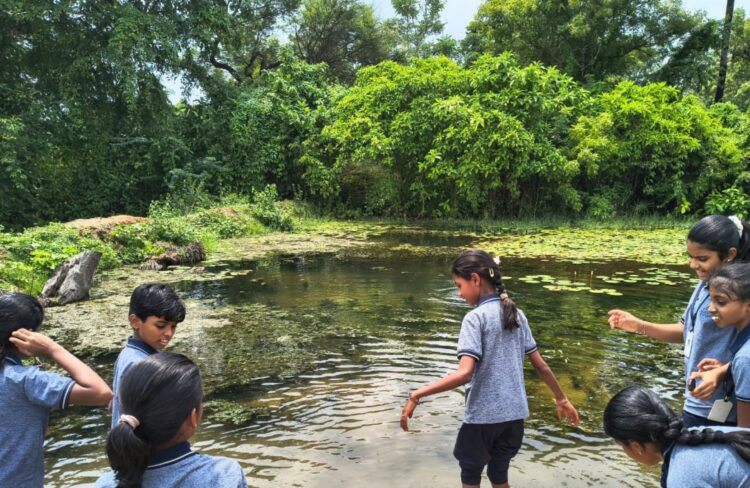 Natural Farming at Agastya Academy