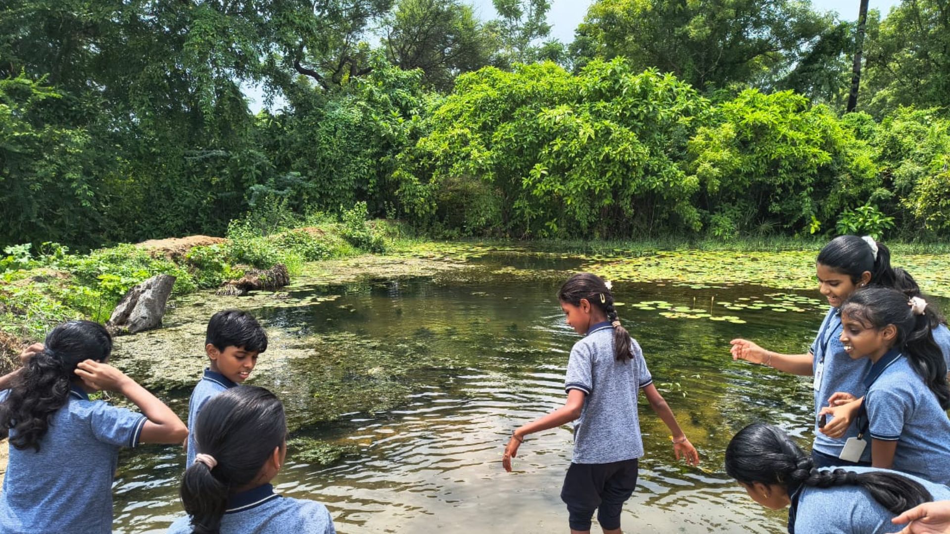Natural Farming at Agastya Academy