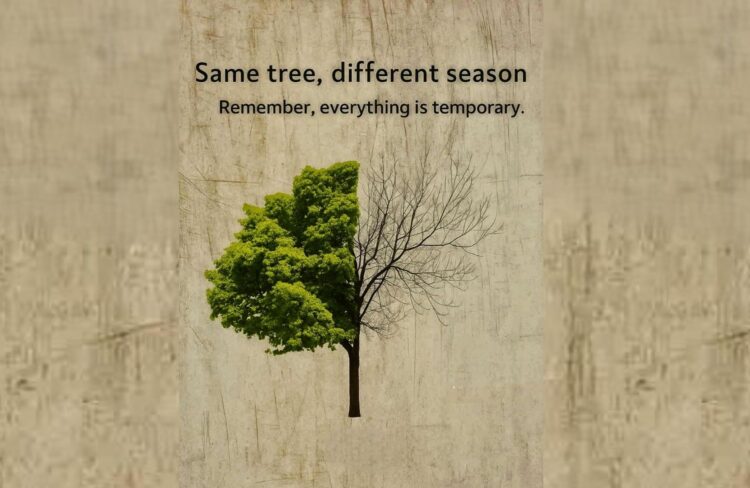 Same Tree in Different Seasons: A Journey Through Time